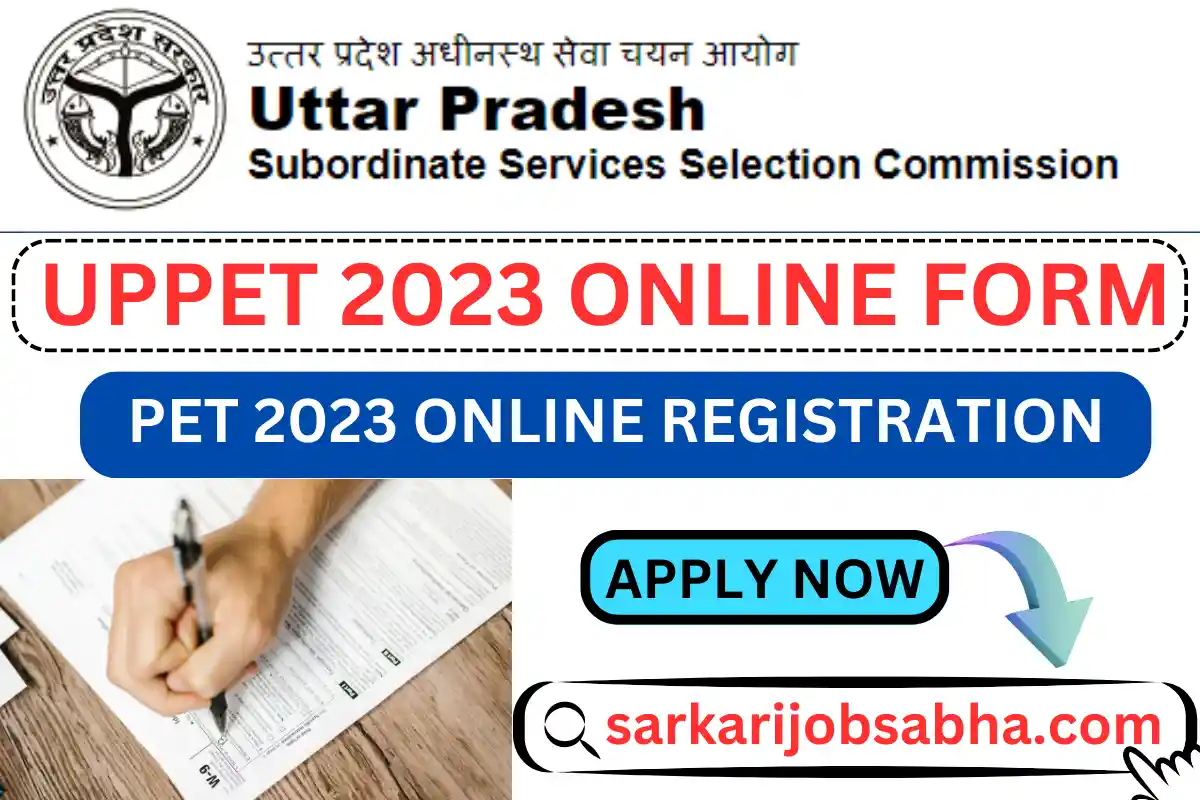 UP PET 2023 Online Form