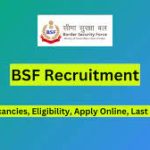 BSF Group B & C Various Post (Constable, HC, ASI, SI) Online Form 2024 for 82 Post