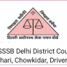 Delhi DSSSB Delhi District Court Safai Karamchari, Chowkidar, Driver, Process Server, Peon, Orderly Recruitment 2024 for 142 Post, Apply Online