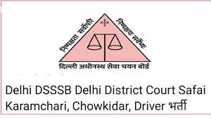 Delhi DSSSB Delhi District Court Safai Karamchari, Chowkidar, Driver, Process Server, Peon, Orderly Recruitment 2024 for 142 Post, Apply Online